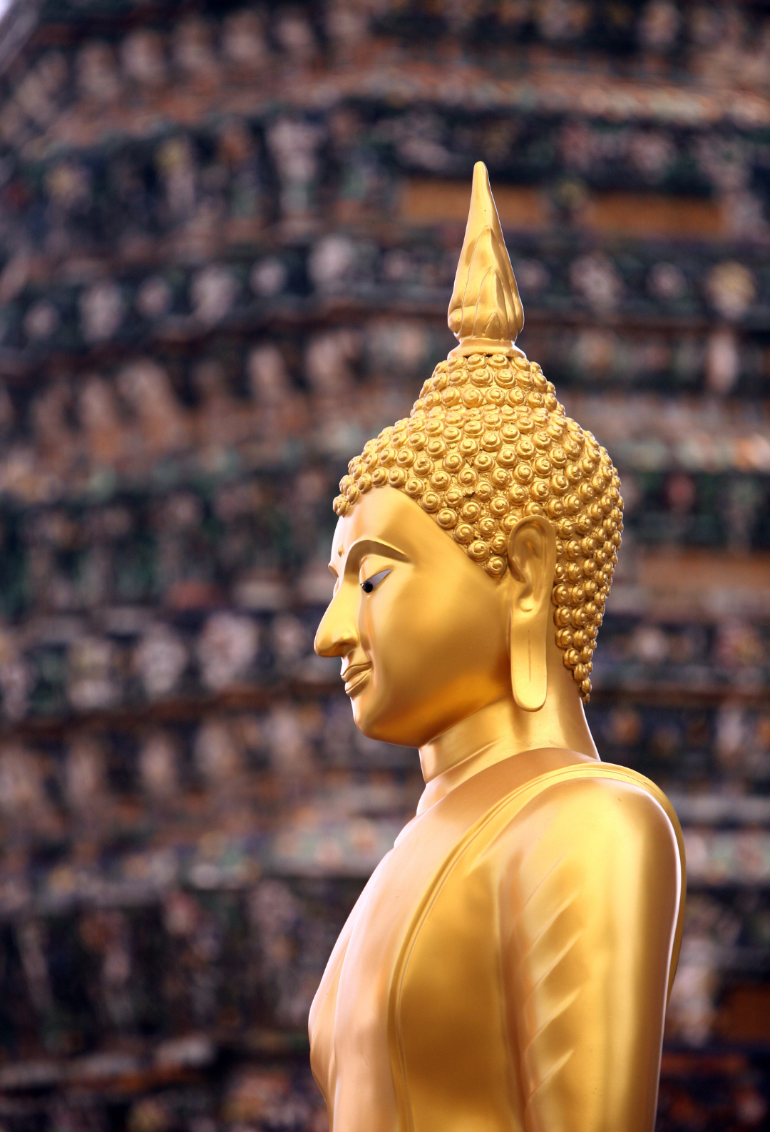 Thailand Unique Plus
