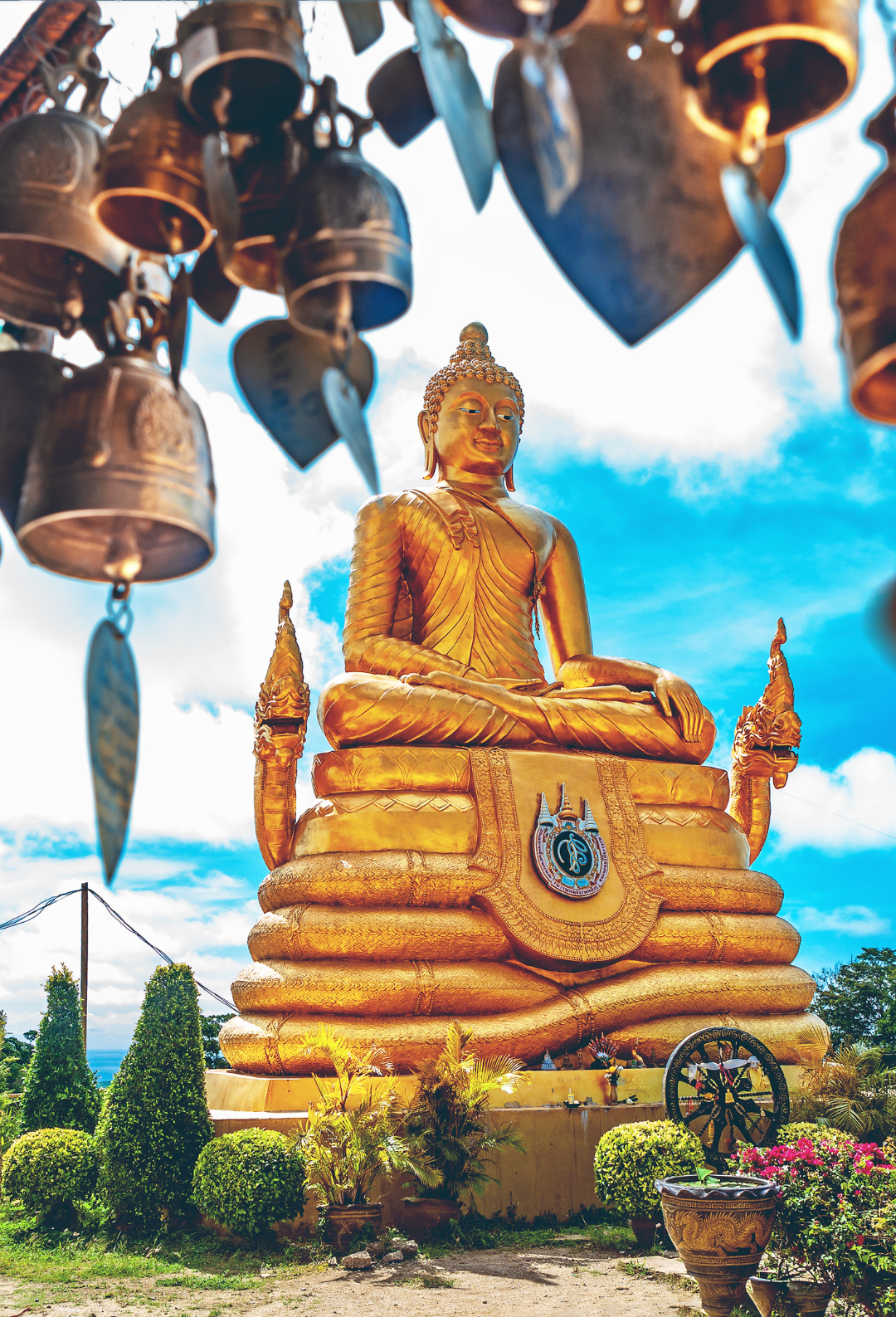 Thailand Unique Plus