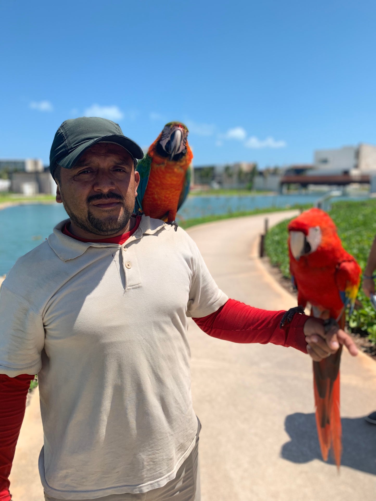 Vacaciones en Cancún o Riviera Maya
