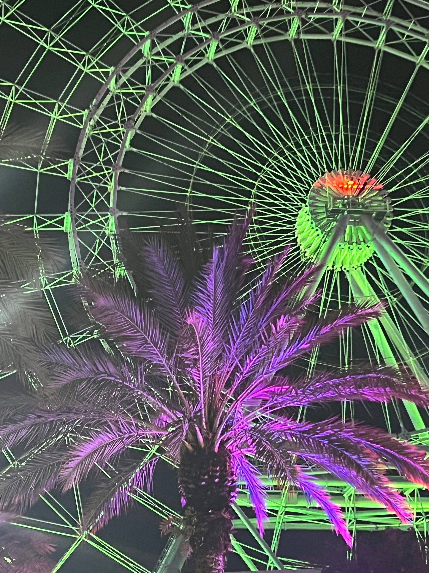 Orlando - Theme Parks