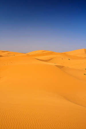 Emiratos Árabes