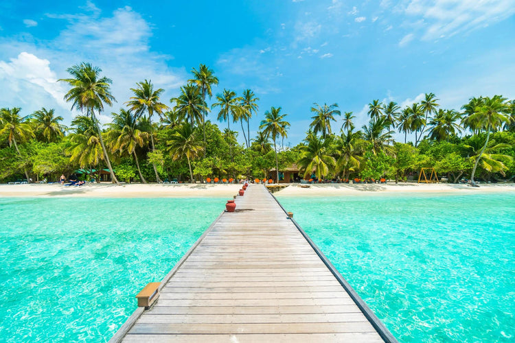 CARIBBEAN AND CENTRAL AMERICA