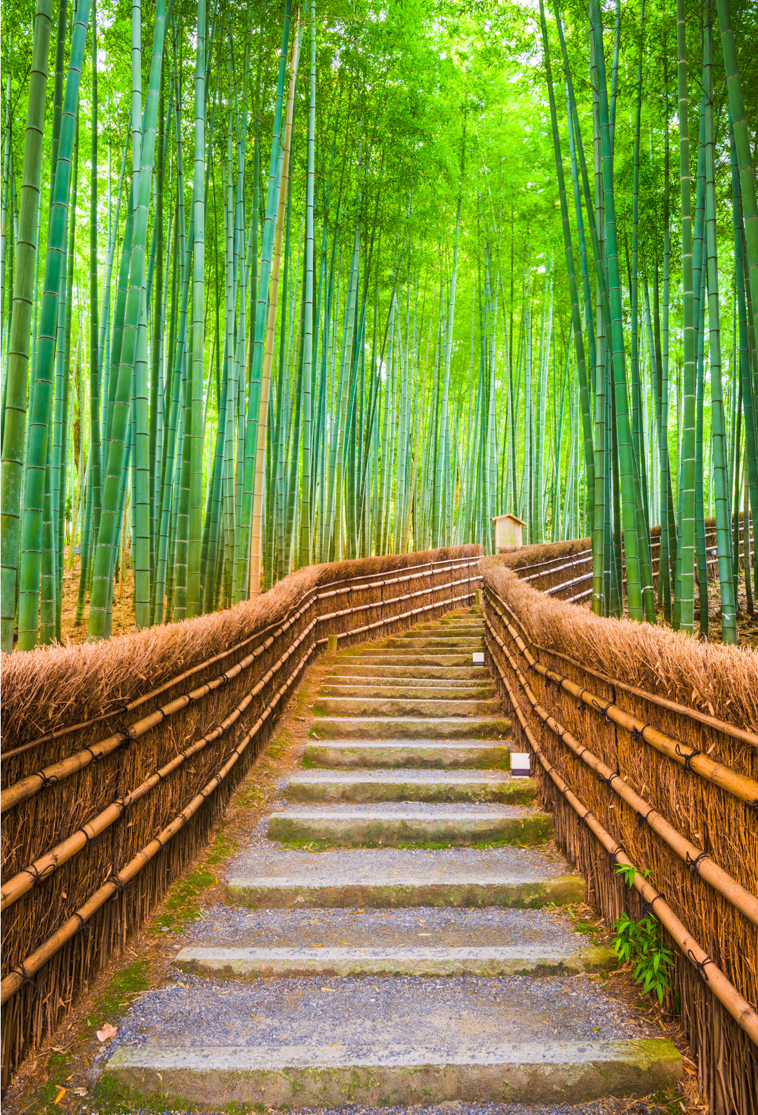 Temptations of Japan