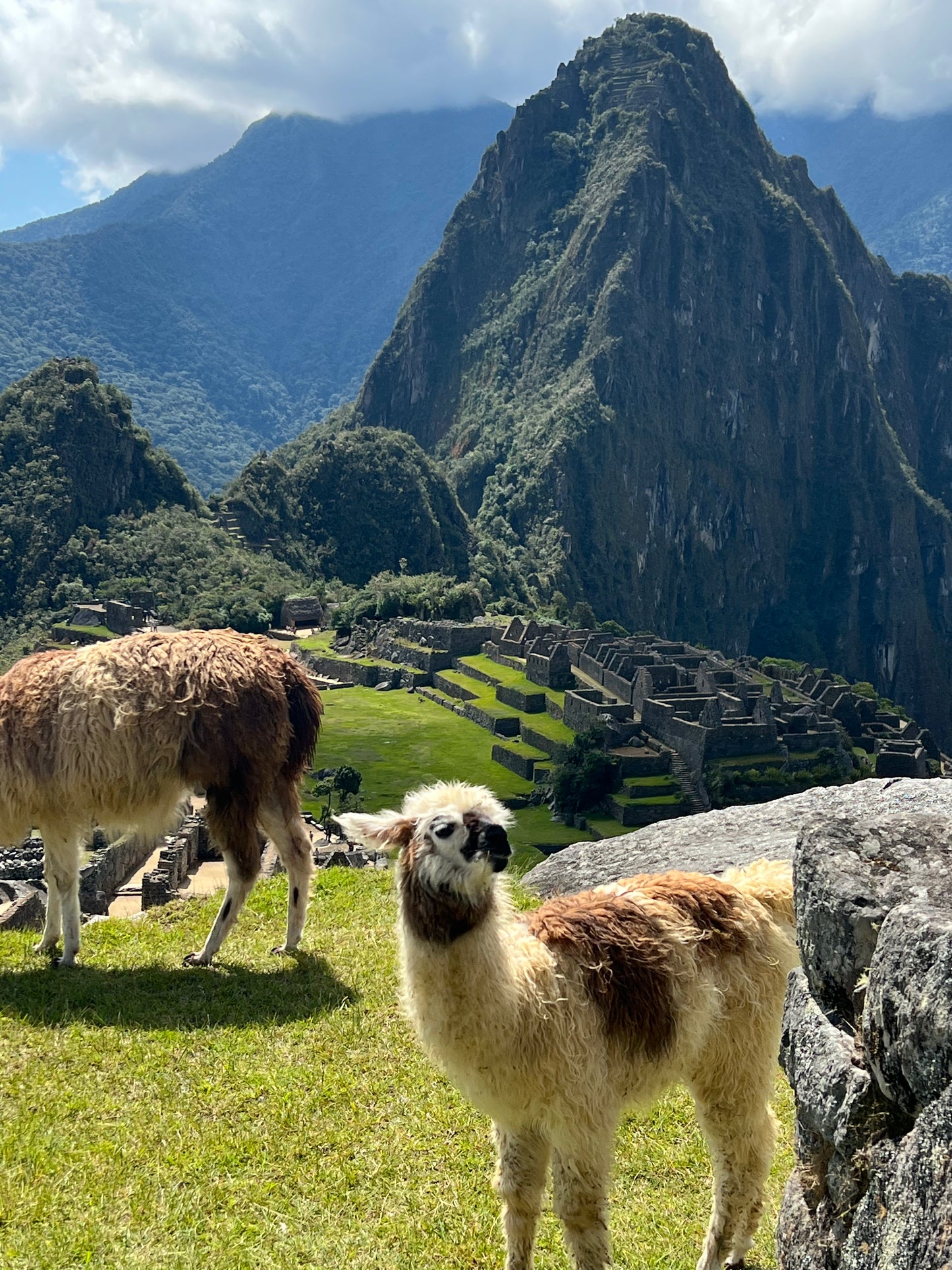 Perú, Machu Picchu y la montaña de 7 colores