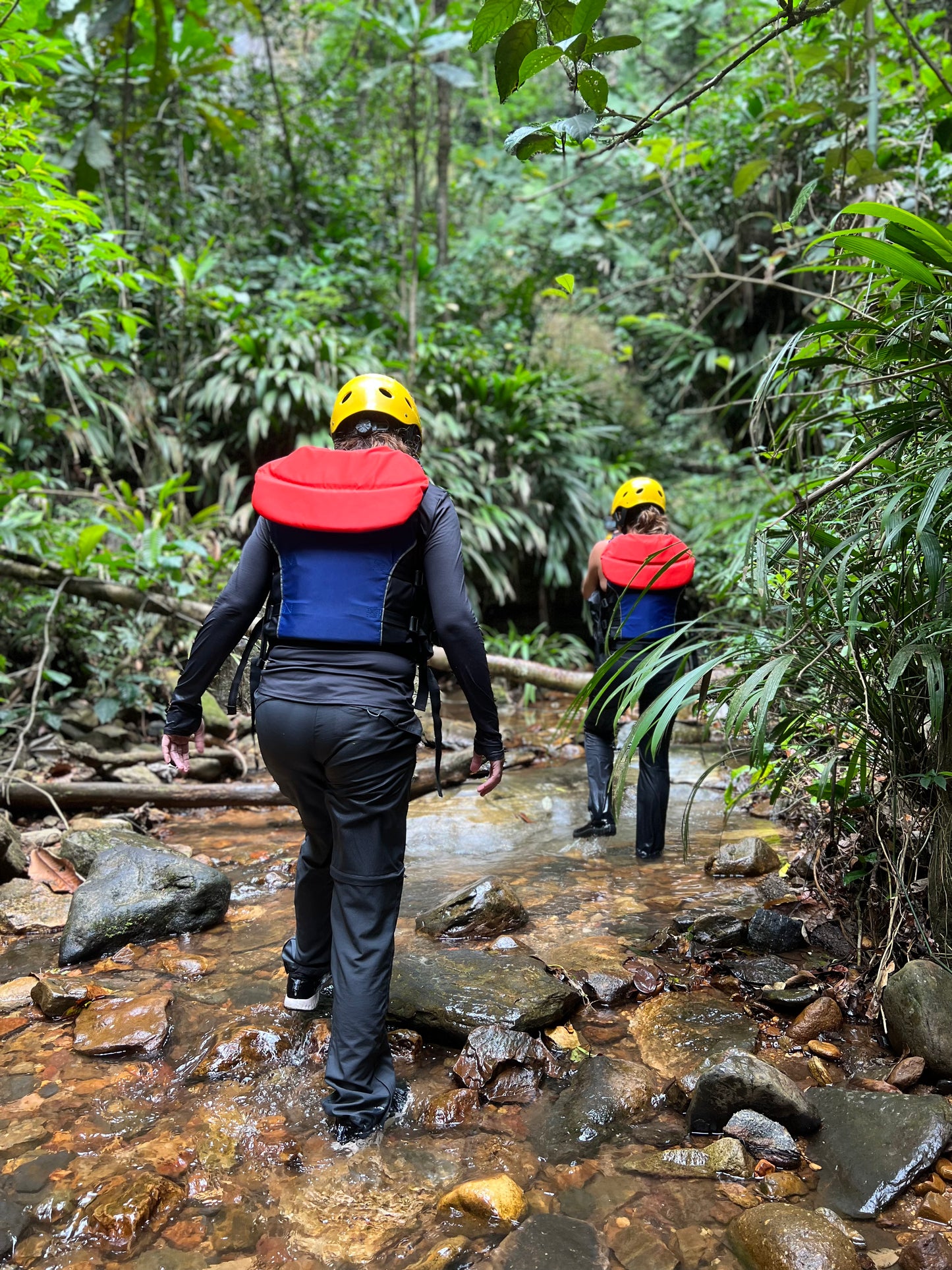 Colombia - Cañón del Güejar - Cascadas del Paraíso - Cañón del Güape