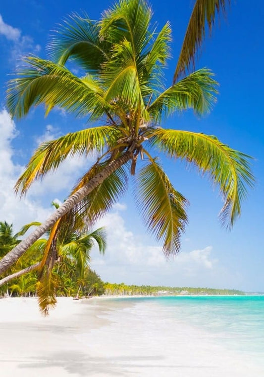 Vacaciones en Punta Cana