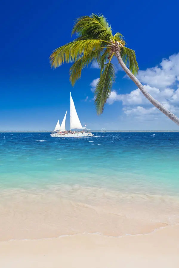 Vacaciones en Punta Cana
