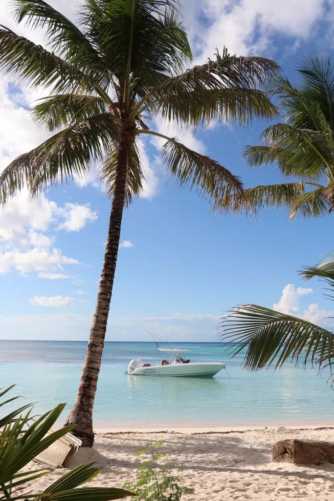 Vacaciones en Punta Cana