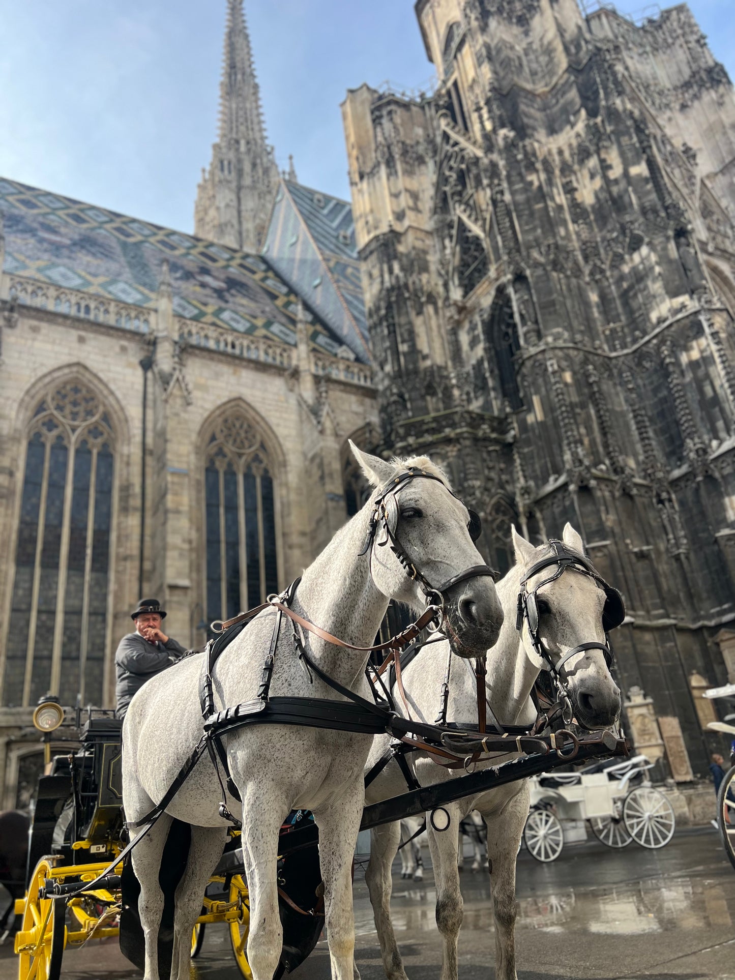 Dulce Europa