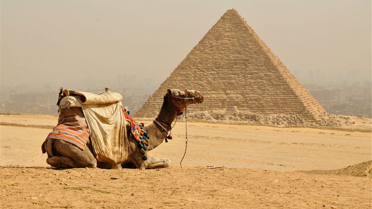 Turkey and Egypt Dreamed
